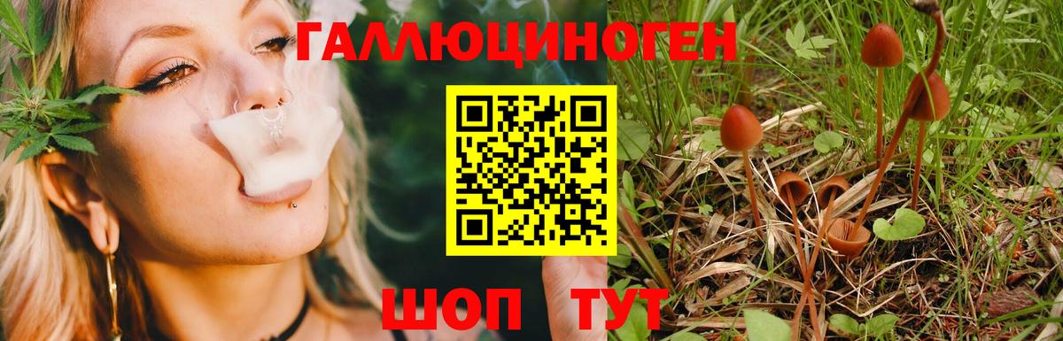 Октябрьский  Галлюциногенные грибы Cubensis  Псилоцибиновые грибы мухоморы  Вход с VPN 