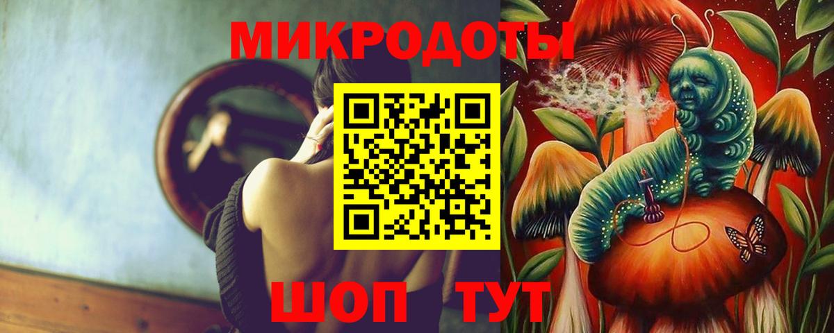 Псилоцибиновые грибы Psilocybe Октябрьский